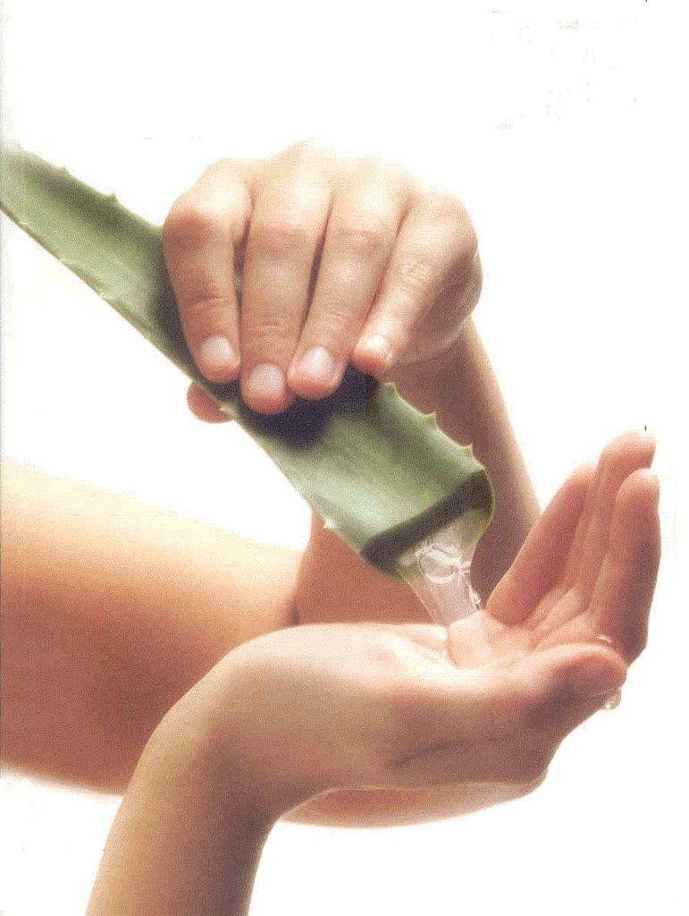 aloe vera pour visage aloe vera pour visage