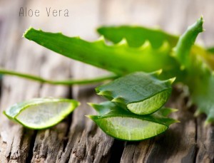 aloe vera pour la peau