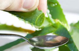 L’aloe vera contre l'acné L’aloe vera contre l'acné