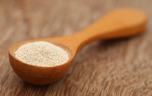 levure de bière fait grossir